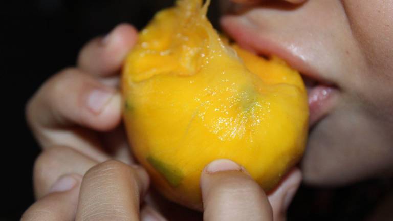 El mango del país es el primer manjar a saborear de la temporada