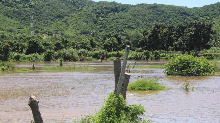 Es el tercer año consecutivo que por falta de agua dulce no se tiene camarón por la alta salinidad, indican.