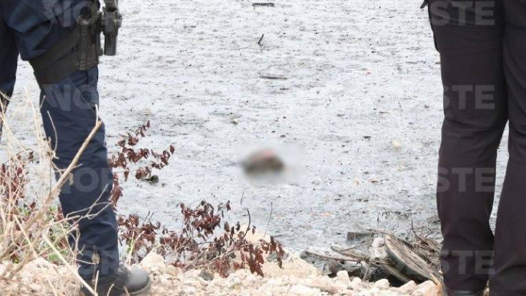 Peritos descartaron que los restos hallados en la marisma de Quinta Chapalita sean humanos.