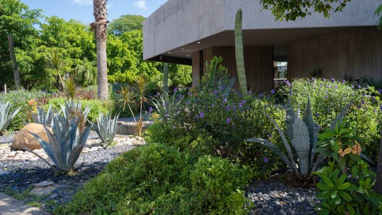 El proyecto consistió en el diseño del proyecto, suministro de materiales y plantas, instalación, fertilización y la poda del arbolado perimetral.