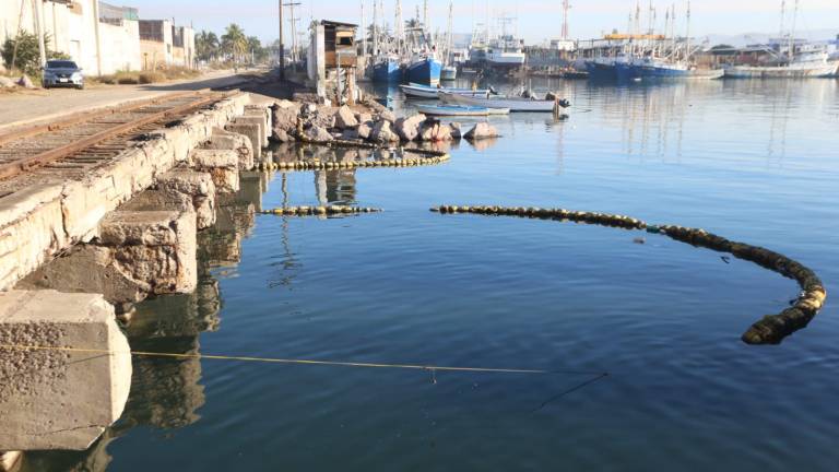 La biobarda instalada en el Estero del Infiernillo ayuda a contener los desechos y que no lleguen al mar.