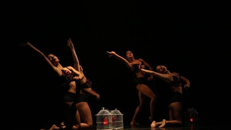Presentará la Compañía Danza Joven ‘Columnas Sinaloa’