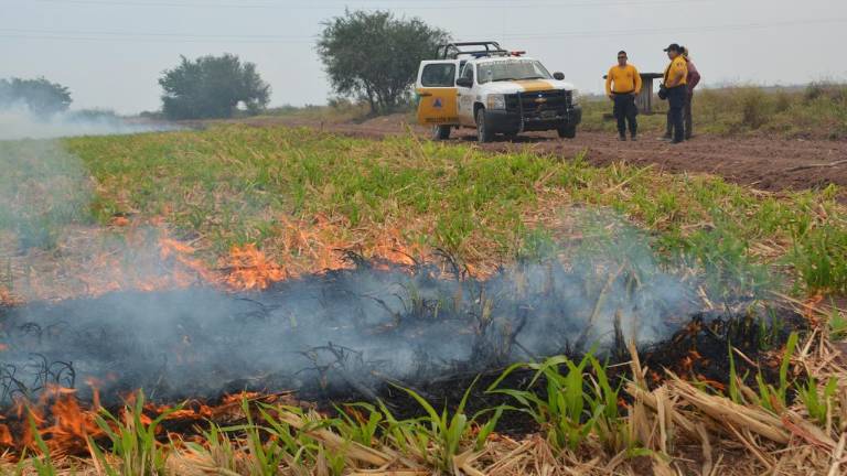 El Alcalde subrayó que estas prácticas representan una grave negligencia que no solo atenta contra el medio ambiente, sino que desencadena problemas de salud.