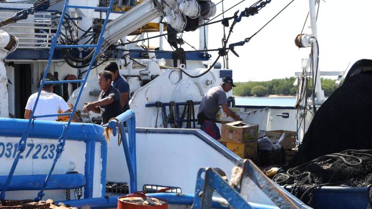 Pescadores trabajan en el Parque Bofill de Mazatlán.