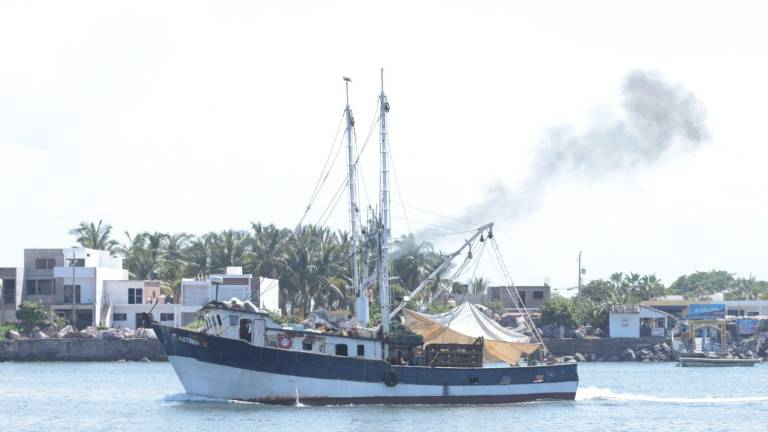 Productores del mar prevén obtener bajo volumen de camarón con miras a mejorar precios