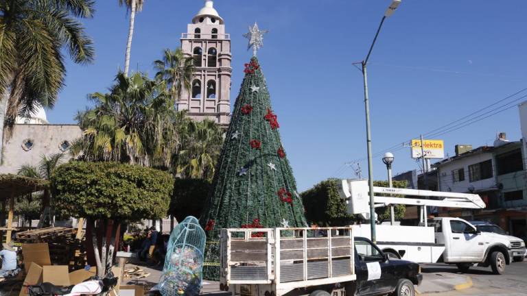 El árbol se está instalando en la explanada de la plazuela, Ramón Corona, por parte de la Presidenta Municipal.