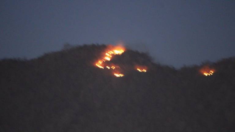 Sufre incendio forestal Cerro del Águila en Rosario
