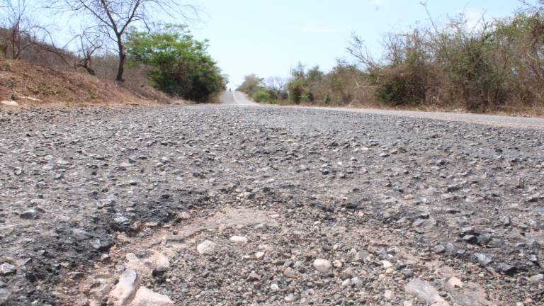 Aún no han sido atendidas las carreteras estatales que presentan desgaste en el municipio.
