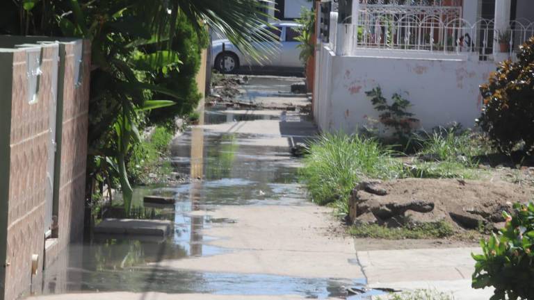 En el Infonavit Jabalíes, en Mazatlán, en un andador se registra fuga de aguas negras.