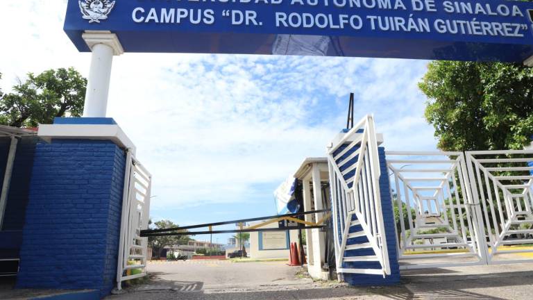Mantienen clases suspendidas en campus de la UAS por ataque de abejas ...