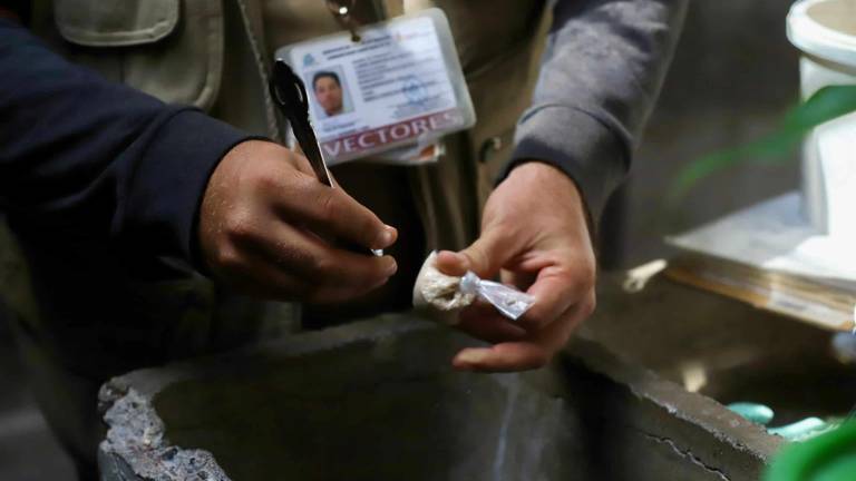 Las autoridades estatales mantienen la campaña contra el dengue en Sinaloa.