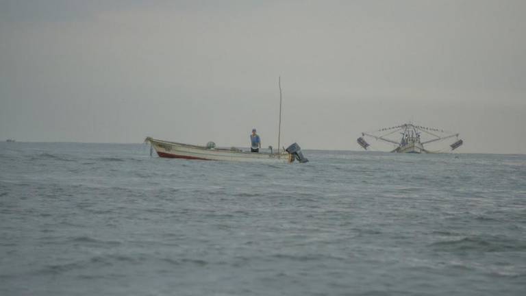Embargo comercial de pescados y mariscos, ineficiente en el combate a pesca ilegal: Oceana