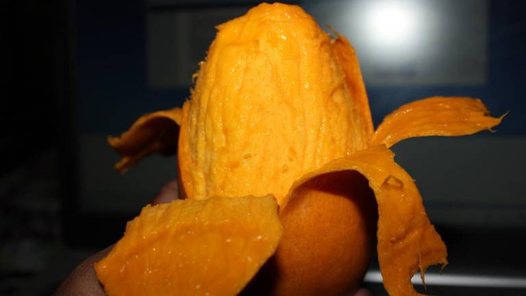 Es México quinto lugar mundial como productor y exportador de mango