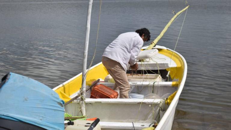 Sinaloa podría declararse zona de desastre por ‘Norma’, afirma Secretaria de Pesca