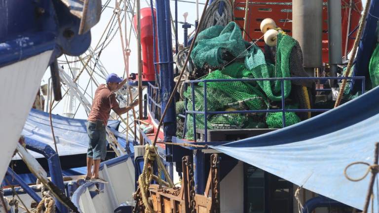 En Mazatlán, 2 mil pescadores se quedarán sin trabajo esta temporada; solo zarpará el 50% de los barcos camaroneros
