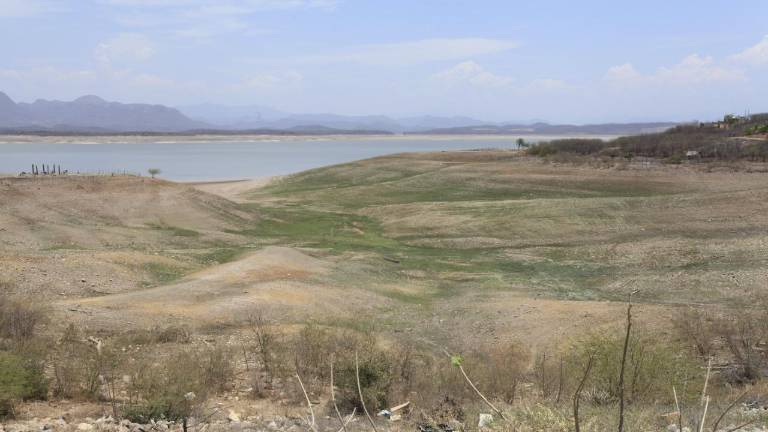 Presa Sanalona.