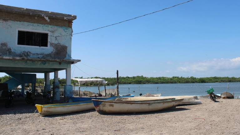 El tesorero de la Federación Camaroneros de Agua Verde, Primitivo Deras Gómez, explicó que la alta salinidad provocó la muerte de larvas, fenómeno que se repite desde hace tres temporadas.