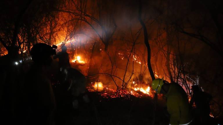 Al menos 35 mil hectáreas de bosque se han perdido este año en Sinaloa debido a incendios forestales.