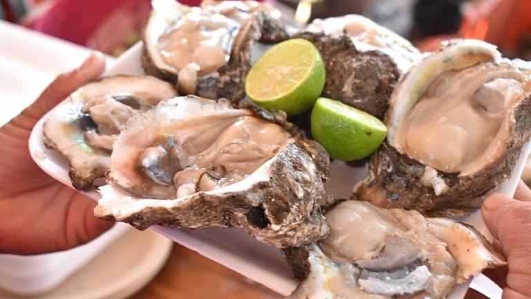 El impacto económico fue muy positivo para los sectores de la hostelería, restaurantes y comercios, no solo en Celestino Gazca, sino en general en el municipio de Elota.