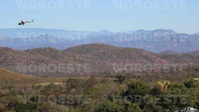 Fuerzas armadas desplegaron helicópteros artillados en operativo en El Limoncito.