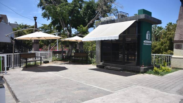 Mini biblioteca de Culiacán se hace viral en redes sociales