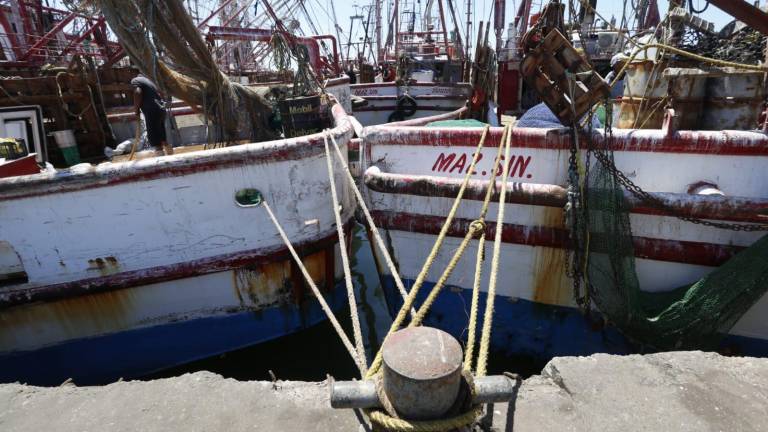 Flota del sector social pesquero ya se amarró.
