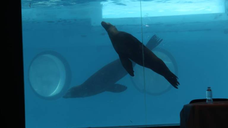 Tanto en el interior como en el exterior del inmueble ahora solamente se mira desolación.