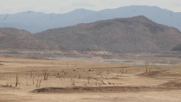 Bacurato, el pueblo que no se dobla ante la sequía