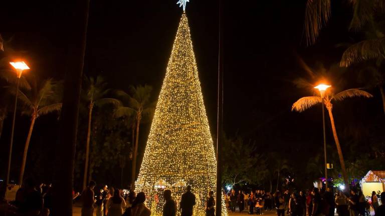 Cientos de personas acuden al encendido de luces del árbol de la esperanza en el Jardín Botánico.