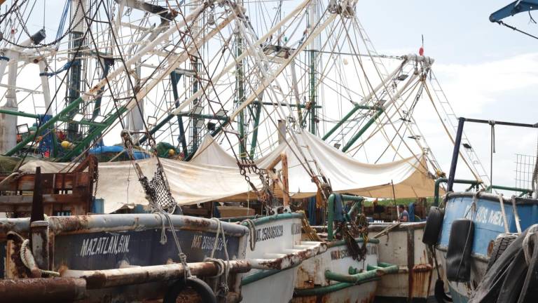 Embarcaciones permanecen atracadas en el Parque Bonfil aguardando para zarpar de nuevo a la capturas de camarón.