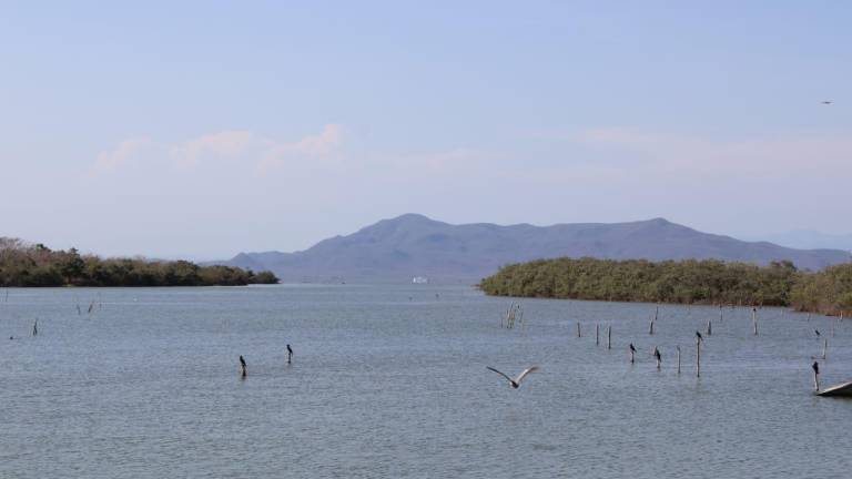Pescadores de Rosario esperan que se puedan concretar obras de dragado en el sistema lagunar Huizache-Caimanero.