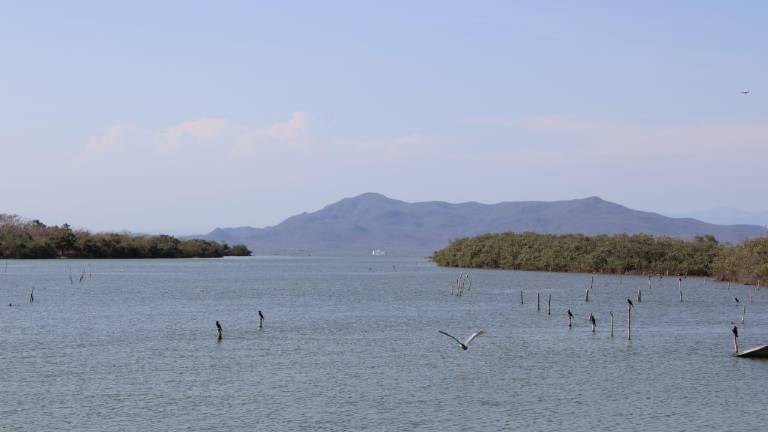 Pescadores de Rosario esperan que se puedan concretar obras de dragado en el sistema lagunar Huizache-Caimanero.