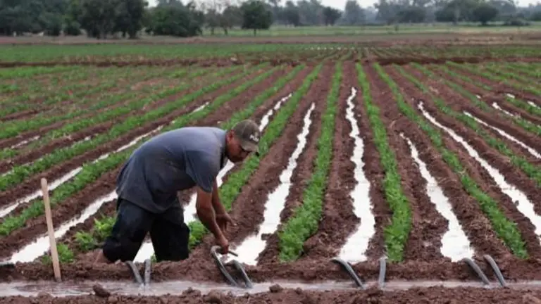 La recuperación de las presas abre la posibilidad de retomar la actividad agrícola, pero persisten dificultades económicas para los productores.