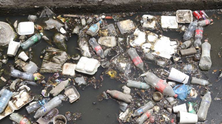 La maleza y la basura es lo que predomina en los canales pluviales de Mazatlán.
