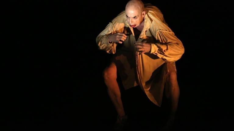 La obra es realizada, dirigida y actuada por el creador argentino Pompeyo Audivert.