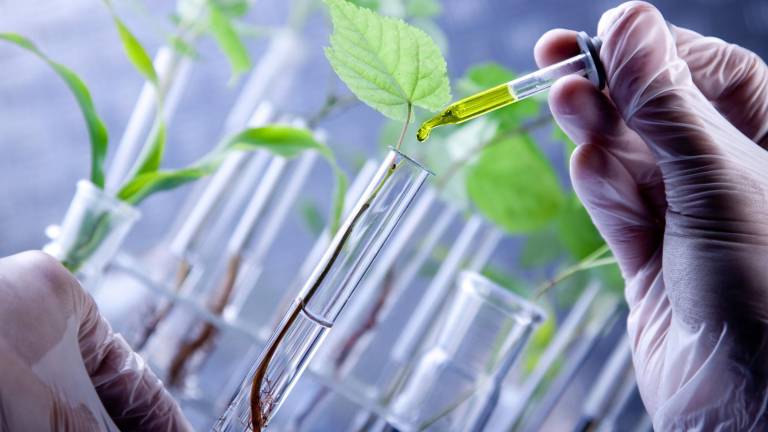 La Bioeconomía permite transformar la materia prima en productos de alto valor