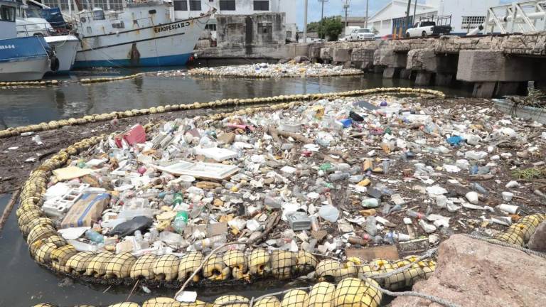 Más de 80 toneladas de basura recolectó la biobarda del puente Juárez durante la temporada de lluvias.