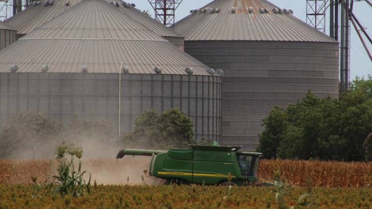 Reporte de baja de inventarios eleva precio del maíz