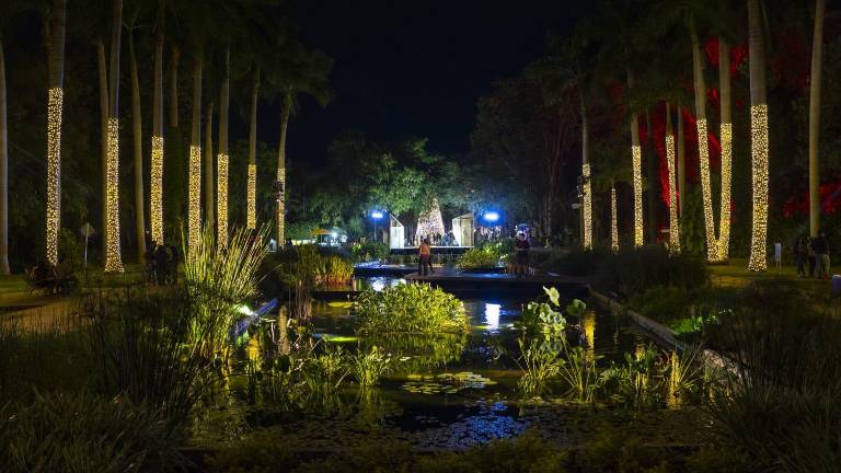 Este domingo 11 de enero culmina la experiencia ‘Un Jardín de Luz’.