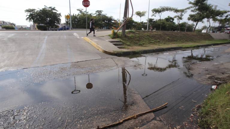 La fuga de drenaje, el socavón y la basura no solo afectan la imagen urbana, sino que ponen en riesgo la salud y seguridad de la comunidad.