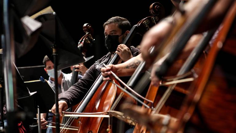 La entrada será libre a los conciertos de cámara.