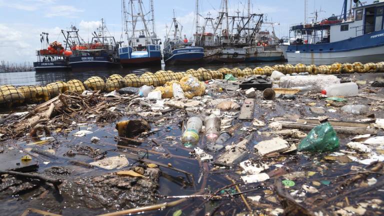 Van alrededor de 20 toneladas de basura que retiene la biobarda e impide que vayan a mar abierto.