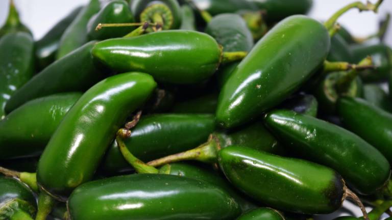 Descarta Cofepris presencia de salmonella en chiles jalapeños.