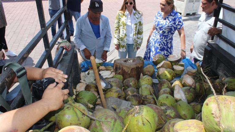 Sectur reitera compromiso para que Rosario mantenga distintivo de Pueblo Mágico