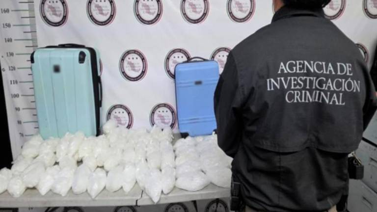 Paquetes con sustancia blanca granulada localizados en el equipaje de un transporte federal en Mazatlán.