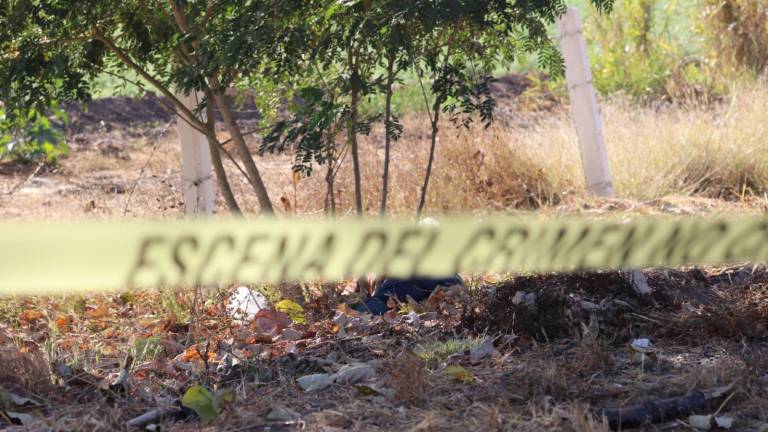 Las víctimas, de 32 y 29 años de edad, fueron localizadas sin vida este sábado a orillas del Libramiento Benito Juárez, al sur de Culiacán.