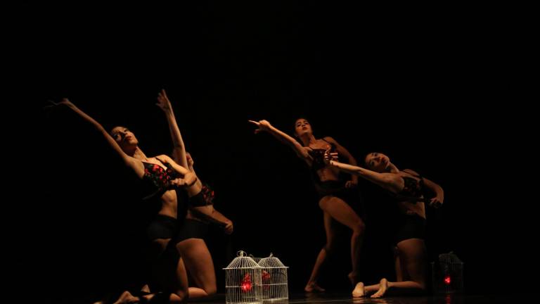 Honra Danza Joven a cuatro grandes de la cultura en ‘Columnas Sinaloa’