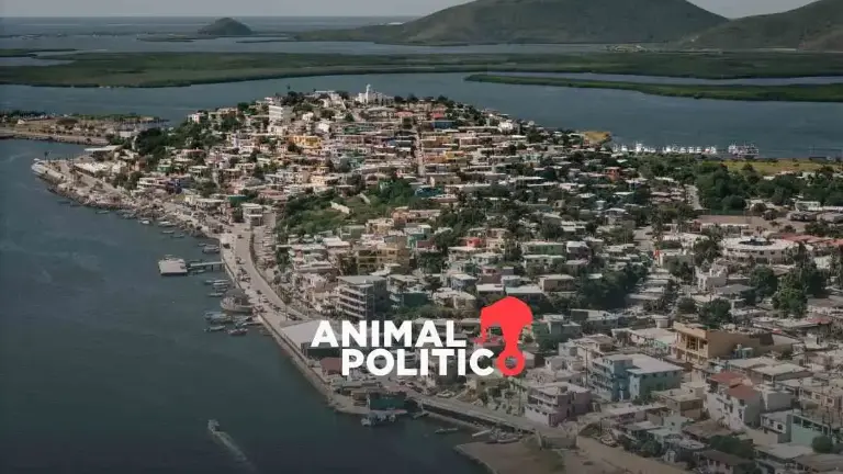 El proyecto fue aprobado sin consultar a los habitantes de la región ni el consentimiento libre, previo e informado de los pueblos indígenas afectados.