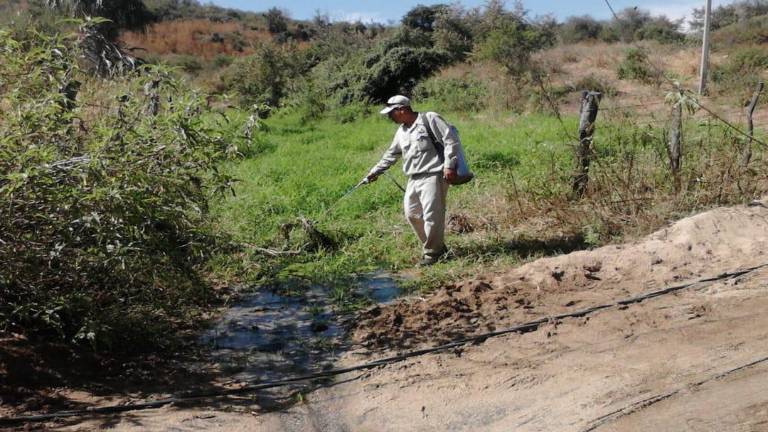 Salud en Sinaloa lanza campaña permanente contra el Paludismo