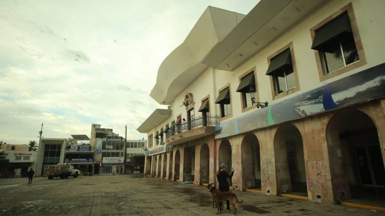 La Alcaldesa de Mazatlán Estrella Palacios Domínguez informó que este martes estará en la Ciudad de México para atender programas de seguridad.